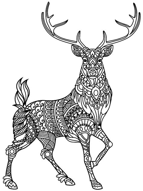 mandala deer coloring page sheet   print