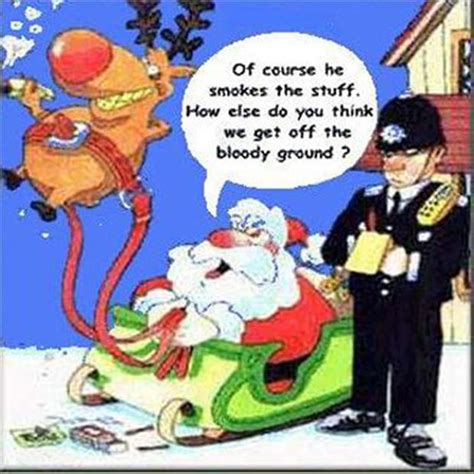 funny christmas pictures  pics
