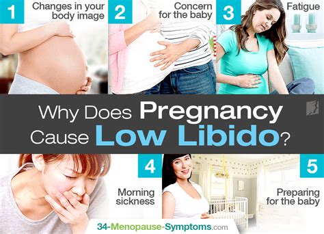 why does pregnancy cause low libido menopause now