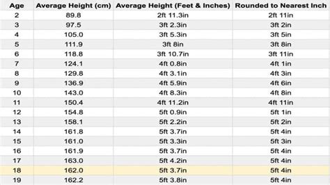 the average 18 year old height for females and males