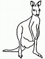 Kangroo sketch template