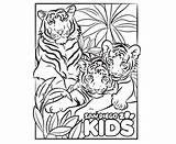 Coloring Tiger Family Kids Zoo Diego San Tigers Color sketch template
