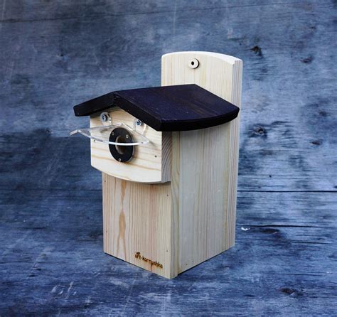 wooden bird house chickadee nesting box wild bird predator etsy