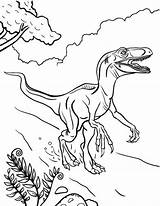Coloring Velociraptor Pages Dinosaur Printable Kids Jurassic Park Bestcoloringpagesforkids Dinosaurs Print Animal Sheets Visit Choose Board sketch template