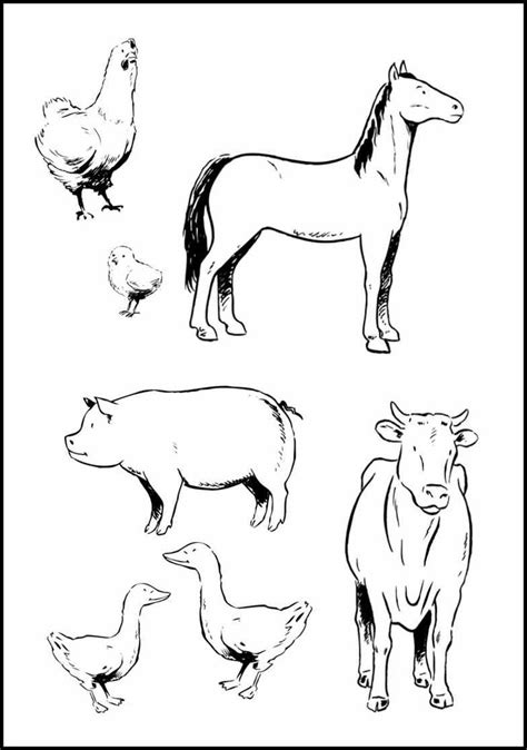 farm animals colouring images  pinterest animal coloring