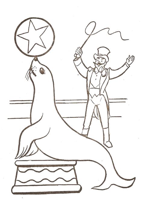 sea lion  trainer circus kids coloring pages