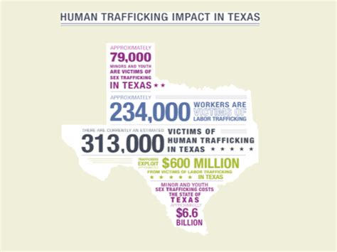 report more than 300k human trafficking victims found in texas