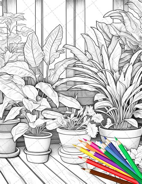 listing offers  high quality indoor houseplants coloring pages