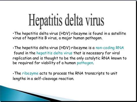 What Is Hepatitis D – Donate Plasma And Save A Life