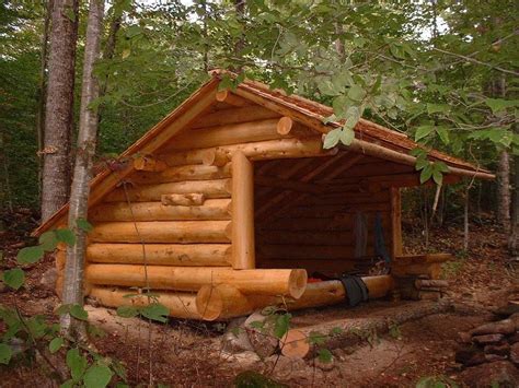 Pin By Metaspencer On Adirondack Lean Tos Bushcraft Shelter Backyard