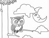 Night Coloring Pages Owl Printable Owls Kids Drawings Color Eyes Designlooter Morning Popular Remodel Line 1240px 1594 6kb sketch template