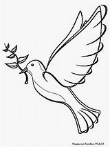 Burung Merpati Mewarnai Putih sketch template
