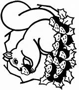 Eekhoorn Kleurplaat Kleurplaten Squirrel Coloriages Bajing Mewarnai Ecureuil Bergerak Animaatjes Scoiattoli Stemmen Kleuren Kleurplatenwereld Picgifs Animate sketch template
