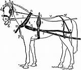 Harness Horse Drawn Carriage Clipart Drawing Labeled Etc Getdrawings Gif Clipground Original Large Tiff Resolution Paws Five Studio Usf Edu sketch template