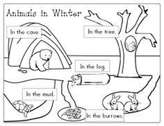 animals  winter printable worksheetsf school pinterest winter