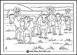Farm Colouring Pages Coloring Cows Kids Animal Cow Animals Color Children Shtml Board Farming Days School Autumn Dairy Choose sketch template
