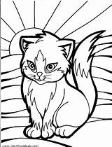 Coloring Pages Wild Cat Getcolorings Wildcat sketch template