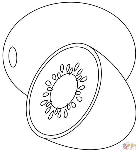 kiwi coloring page  printable coloring pages