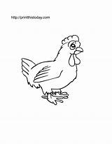 Hen Animals Coloring Kids Pages Printable Farm Color Cute Print Getcolorings Drawings Serious Printthistoday Looking Fun Will sketch template