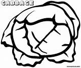 Cabbage Coloring Pages Coloringway sketch template