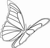 Flying Motyl Line Motyle Druku Kolorowanka Kolorowanki Clip Monarch Butterflies Motylek Motyla Szablon Wzór sketch template