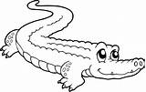 Crocodile Animals Coloring Pages Printable Drawings sketch template