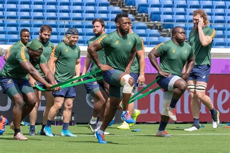 springboks focus  shifts  rugby championship