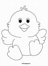 Colouring Coloringpage Books Chick2 Chickens Adorable sketch template