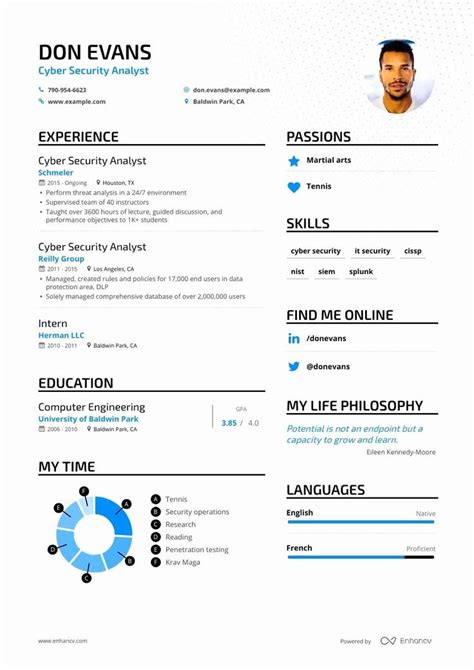 entry level cyber security resume   experience printable