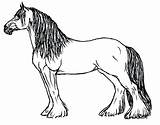 Horse Coloring Pages Printable Realistic Clydesdale Drawing Horses Color Quarter Friesian Mustang Pinto Print Adults Draft Appaloosa Spirit Getcolorings Getdrawings sketch template
