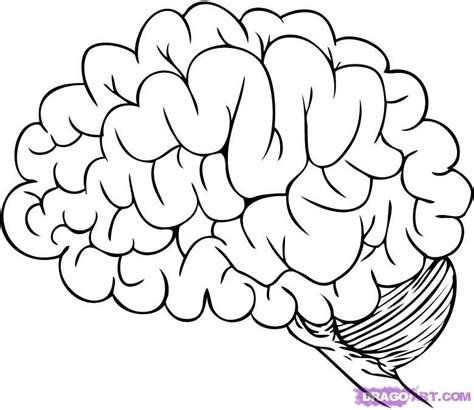 printable brain coloring pages