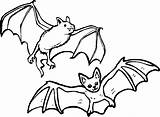 Bats Coloring Bat sketch template