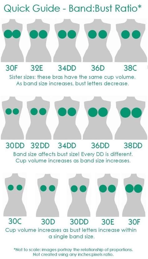 bra size charts and conversions accurate guide with images vlr eng br