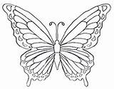 Butterfly Coloring Pages Color Drawing Wings Rainbow Printable Print Butterflies Drawings Kids Clipart Pattern Disegni Colouring Wing Firefly Fancy Fire sketch template