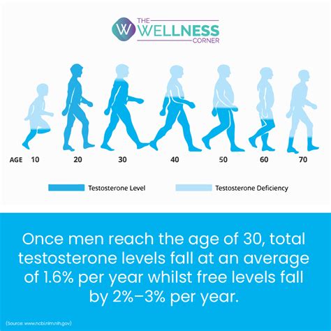 andropause male menopause the wellness corner