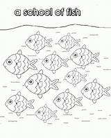 Fish School Pages Collective Coloring Colouring Nouns Fishes Print Noun Getdrawings sketch template