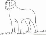 Bernard Coloring Saint Poil Court Pages Dog Coloringpages101 Printable sketch template