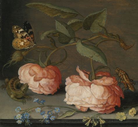 balthasar van der ast