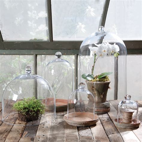 large clear glass dome  homart  colonial