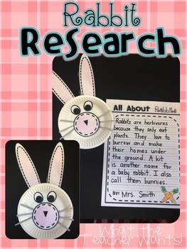 rabbit research  informational writing  rachelle smith tpt