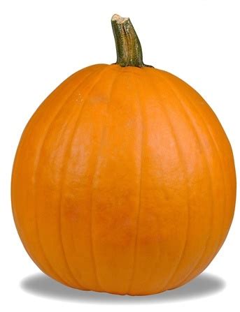 halloween  cutting prices   pumpkin cpapcom