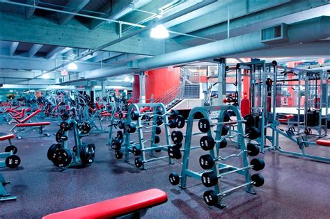 mixed martial arts training  concord ca ufc gym concord