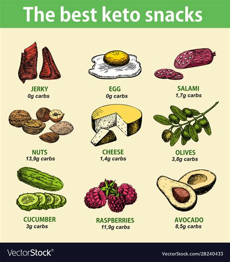 Best Keto Snack Infographics Ketogenic Diet Food Vector Image