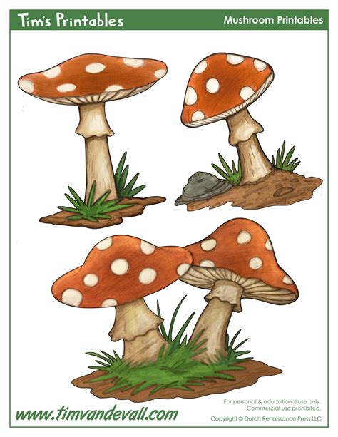 mushroom template shapes  preschool art