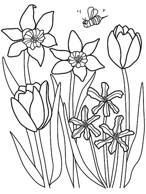 spring flowers coloring pages printable  getcoloringscom  printable colorings pages