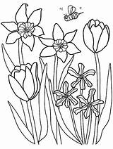 Coloring Spring Pages Printable Flowers Color Kids Flower Tulips Sheets Print Parents Daffodils Adult Outside Kid Getcolorings Easter Printables Zum sketch template