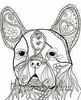 Terrier Bull Coloring Pages Boston Digital Getdrawings Books Getcolorings sketch template