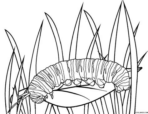 printable caterpillar coloring pages  kids coolbkids