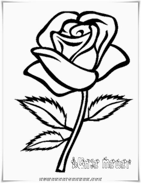 contoh gambar kartun bunga mawar sobponsel