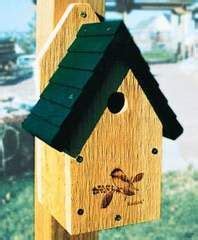 black capped chickadee bird houses black capped chickadee bird house